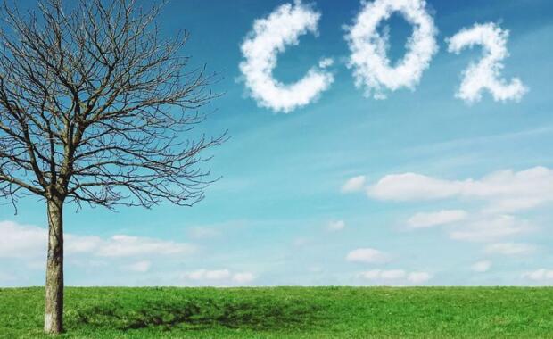 BREATHING NEW LIFE INTO THE CLIMATE CRISIS